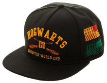 Harry Potter Hogwarts Omni Color Snapback Hat