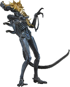 NECA - Aliens 7" scale action figure - Series 12 Xenomorph Warrior Blue (Battle Damaged)